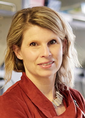 Valeria Cavalli, PhD